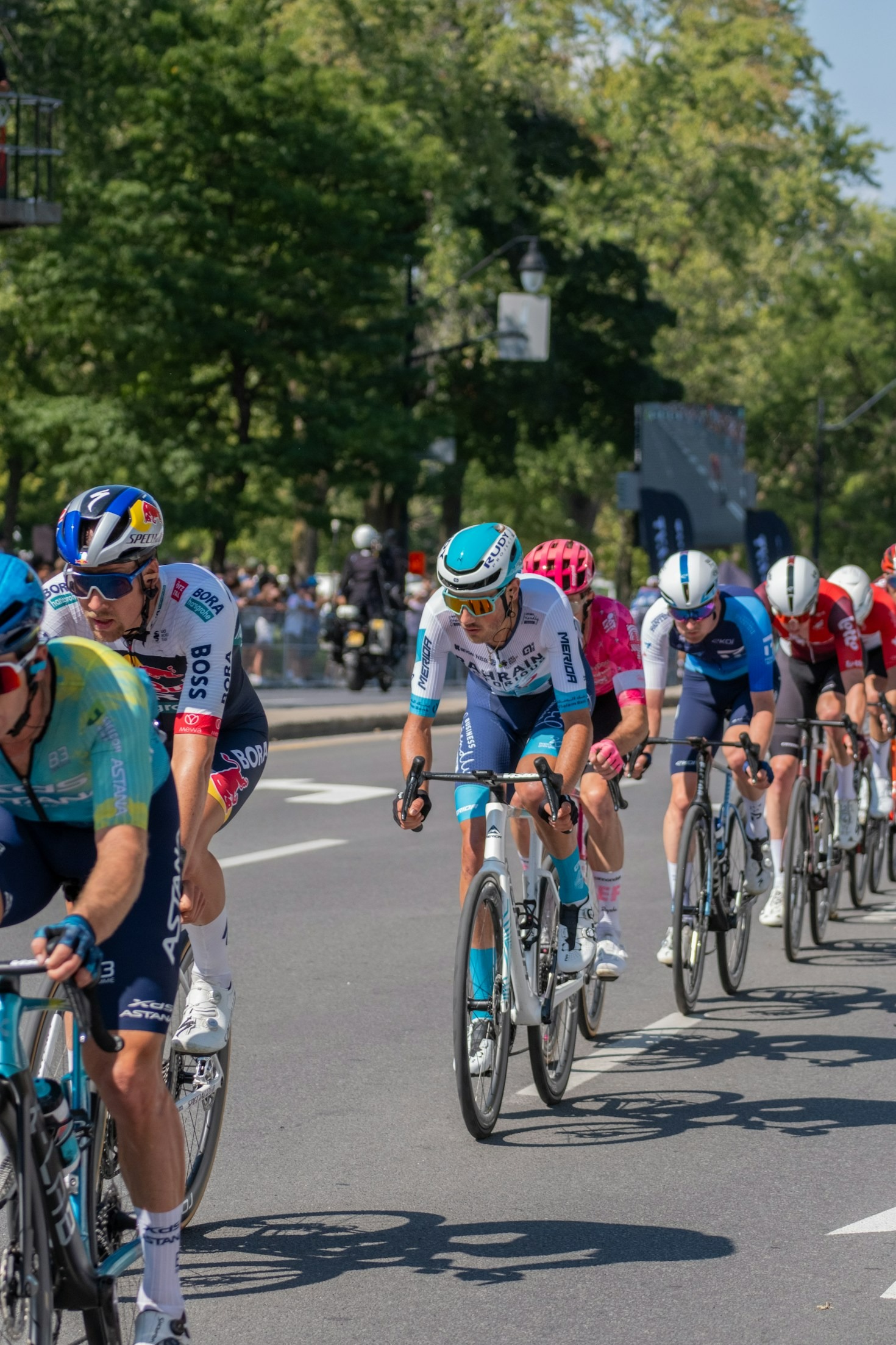 Top Tips for Aspiring Gravel Cyclists in Denmark